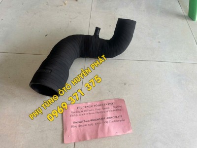 1104311900219 Cao su cổ...