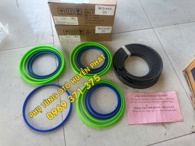 Phớt tháp ben 172-4 Hyva